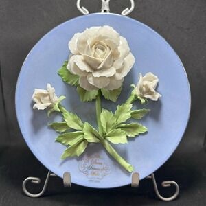 The Princess Diane of Wales Rose‎ Collectors Porcelain Plate Platinum bordered